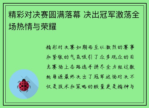 精彩对决赛圆满落幕 决出冠军激荡全场热情与荣耀