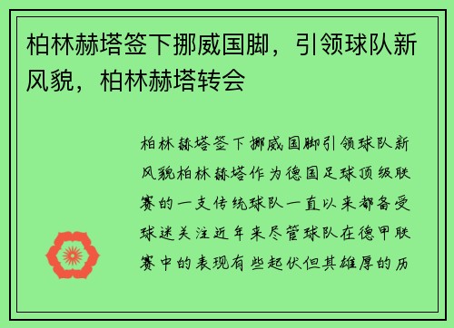 柏林赫塔签下挪威国脚，引领球队新风貌，柏林赫塔转会