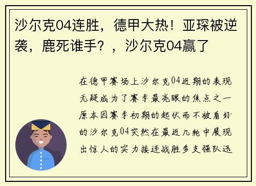 沙尔克04连胜，德甲大热！亚琛被逆袭，鹿死谁手？，沙尔克04赢了